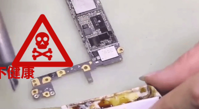 松香_306_1 松香_306_1