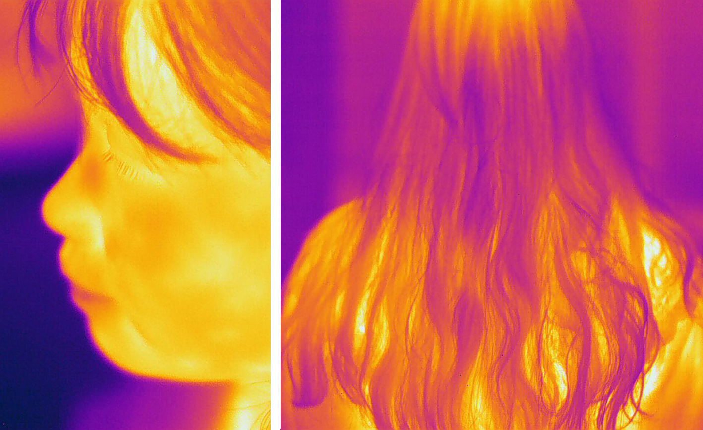 頭發(fā)絲 頭發(fā)絲